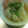ｋａｍｉｙａｍａ's cooksnap of when they made 豚肉と里芋の煮物.