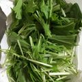 mocovi's cooksnap of when they made シャキッと水菜の保存方法☆.