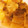 はる＊。゜'s cooksnap of when they made 簡単!やわらか!豚の角煮!.