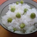 さちかほ's cooksnap of when they made 簡単！グリンピースの豆ごはん。。。.