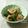 ねっちゃんっ's cooksnap of when they made *弁当おかず*ピーマンの砂糖醤油炒め.