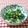 ねっちゃんっ's cooksnap of when they made ブロッコリーの胡麻和え　.