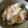 いろはじめ's cooksnap of when they made さつまいもご飯.