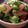 クック08NA6H☆'s cooksnap of when they made 母の味★タコとキュウリの酢の物.