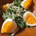 のこのこ★'s cooksnap of when they made マヨごま＊水菜とツナのサラダ.