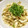はるとニモdaddy's cooksnap of when they made ダイエット☆ささみと牛蒡の辛子酢味噌和え.