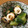 huto☆'s cooksnap of when they made 叩ききゅうりとちくわ☆梅わさ海苔和え.