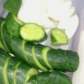 ゆうたんのママさん's cooksnap of when they made 塩ヨーグルトの浅漬け.