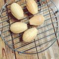 ❁かえ❁'s cooksnap of when they made ワンボールで簡単！マドレーヌ.
