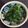 mocomoff's cooksnap of when they made ほうれん草の胡麻和え.