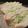 sunita's cooksnap of when they made ウワサの沼サン(キャベツサンド).