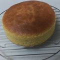 かめkame's cooksnap of when they made 基本のスポンジケーキ.