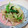 ♡礼♡'s cooksnap of when they made もやしと青梗菜のオイスターごま油☆.