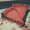 もみんへ's cooksnap of when they made 簡単★濃厚チョコレートチーズケーキ.