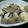 fusakko's cooksnap of when they made 長いもとこんにゃく炒め.
