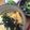 hohohorn_a's cooksnap of when they made 簡単 美味しい たぬき丼 卵 揚げ玉.