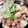 ふわふわまくら's cooksnap of when they made 豚バラ肉とじゃがいもの簡単炒め.