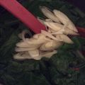 ﾌﾞﾚﾝﾀﾞ's cooksnap of when they made 長ねぎのスープ.