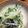 huto☆'s cooksnap of when they made もやしと水菜のナムルもどき.