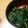 ちゃきんぐ's cooksnap of when they made 春菊の胡麻和え.