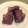 junquo;9's cooksnap of when they made 豚の角煮.