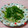 こたらパッド's cooksnap of when they made ゴマ香る♪ピーマンのゴマ炒め.