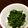 サトモユリア's cooksnap of when they made ホウレン草のごま和え.
