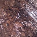 ぱきんこ's cooksnap of when they made ♪チョコブラウニー♪.