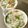 fujipal's cooksnap of when they made 離乳食完了期　牛肉とニラのうどん.