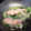 フランクフルトJr's cooksnap of when they made 鮭きのこ白菜の蒸し煮.