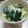 クックUULGPP☆'s cooksnap of when they made 明治おいしい牛乳で簡単洋風茶碗蒸し.
