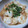 ゆみにゃむ's cooksnap of when they made 長芋の明太和え♪.