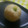 もりぼっくる's cooksnap of when they made 皮不要！片栗粉でシュウマイ.