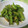 ぽんぽん堂's cooksnap of when they made シカクマメ炒め（うりずん炒め）.