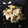 カメノア's cooksnap of when they made 激ウマ！とりねぎ炒め.