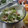 まろんかふぇ's cooksnap of when they made 簡単!レタスとキュウリのツナマヨサラダ.