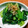 みつこ姉's cooksnap of when they made コク旨ぁ！小松菜のおひたし風.