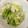 マイクmam's cooksnap of when they made 白菜とツナの黒胡椒風味サラダ.
