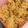 ＊＊aco＊＊'s cooksnap of when they made ラーメンスープの炊き込みごはん.