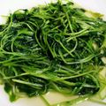 マカロニ公爵's cooksnap of when they made 台湾家庭料理☆豆苗の炒め☆.