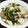 ＹＫＮ４．３'s cooksnap of when they made 10分でできる！牛小間肉と白菜の煮浸し.