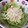 KY328's cooksnap of when they made もやしとハムの簡単サラダ.