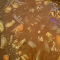 tmomomom's cooksnap of when they made 柔らか牛すじカレー.