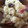 kei035's cooksnap of when they made さつまいもとりんごとレーズン煮.