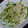 無題ちゃん's cooksnap of when they made じゃがいもとピーマンの細切り炒め.