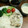 Ｋ子にゃん's cooksnap of when they made 冷しゃぶに☆ごまだれの作り方.