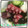 まゆちゃろ's cooksnap of when they made さっぱりで旨っ！タコとキュウリの酢の物.