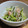だんな様は料理人's cooksnap of when they made もやしときゅうりのサラダ.