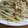 daikanon's cooksnap of when they made もやしとエリンギのオイスター炒め.