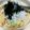 MofeMofee's cooksnap of when they made 簡単すぎる！和風スパゲッティ.